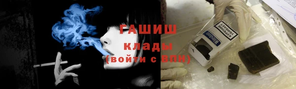 хмурый Алексин