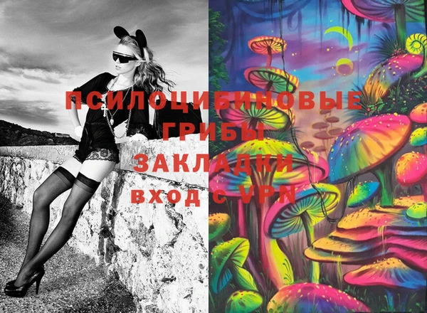 крисы Магас